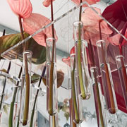 Hanging Perspex Plates with 9 Glass Tubes