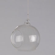 Clear Glass Hanging Flower Globes