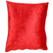 Metallic Red Scatter Cushion