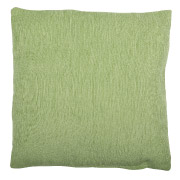 Pale Green (Textured) Scatter Cushion