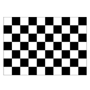 Black & White Checked Flag