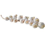 Garlic Strings