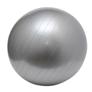 Gym Ball Silver A