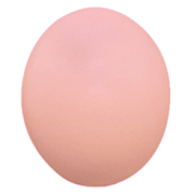 Ostrich Egg Painted