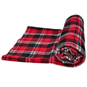 Picnic Blanket A