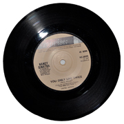 Vinyl Record Small