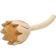 Wooden_Protea